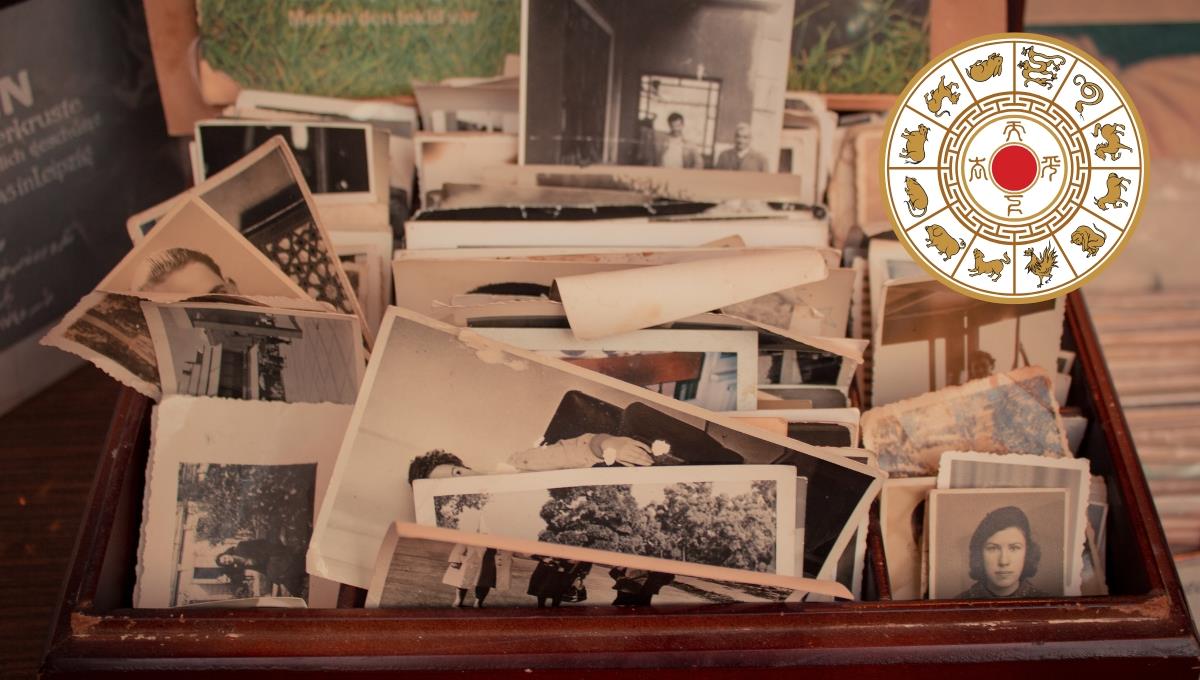 Horóscopo Chino: los 3 animales que tendrán que atravesarán cierta nostalgia este 13 de agosto de 2025